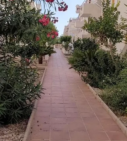 Bajo Con Terraza Y Piscina דירה