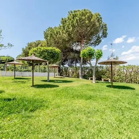 Bajo Con Terraza Y Piscina